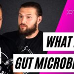 EP 48: The Gut Biome
