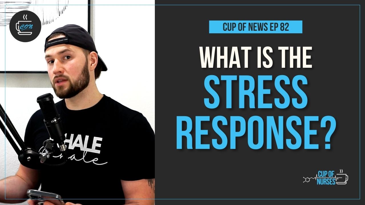 The stress response and what foods lower it