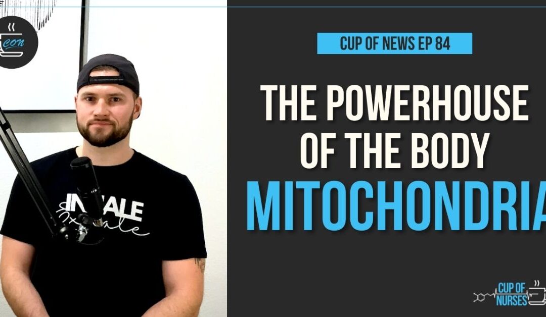 CON EP 84: The Power of Your Mitochondria