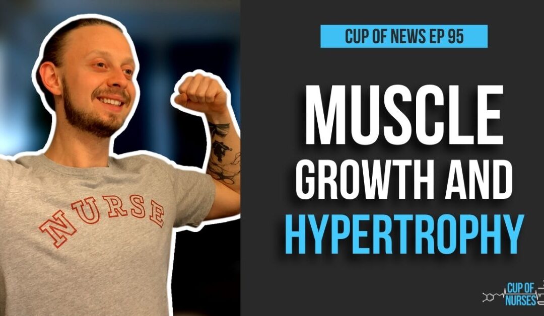 Muscle Growth and Hypertrophy
